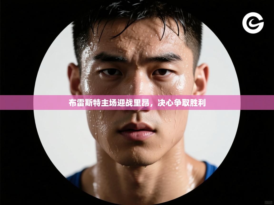 布雷斯特主场迎战里昂，决心争取胜利  第1张